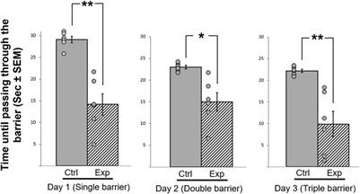 GSK-3β Inhibition in Birds Affects Social Behavior and Increases Motor Activity